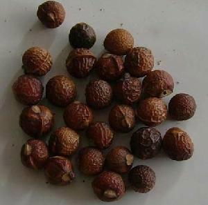 Soapnut Saponins 3