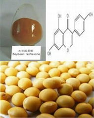 Soybean Extract