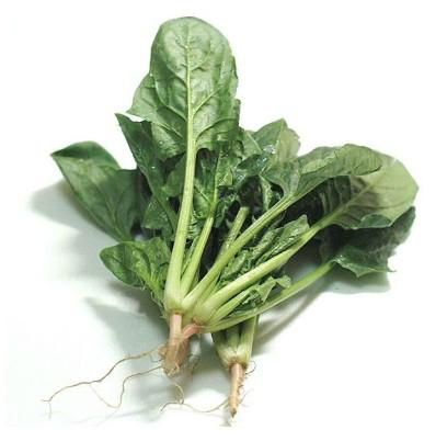 Spinach Extract;Spinage Extract  CAS#: 90131-25-2