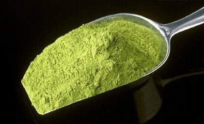Spinach Extract;Spinage Extract  CAS#: 90131-25-2 2