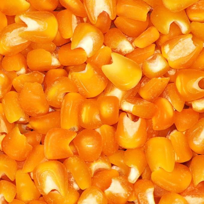 Sell Yellow hominy 35 yaya (Brazil Services or Others