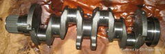 Casting Crankshaft For Fiat Daily 2.5L