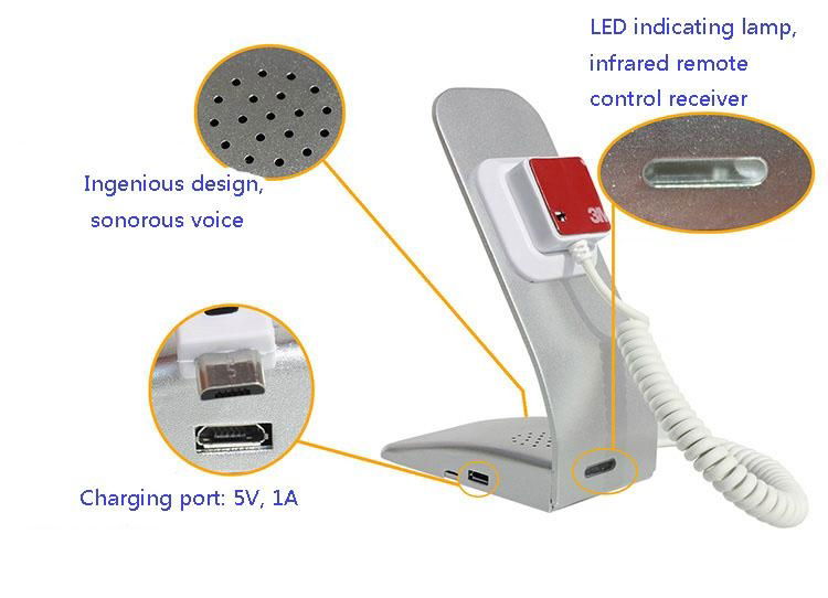 Mobile phone anti-theft display alarm