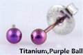 Titanium Piercing Earrings