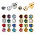 Stainless Steel Crystal Ear Piercing  Birthstone Earring Piercing Jewelry 1