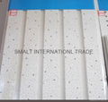 Acoustic Ceiling Board 3