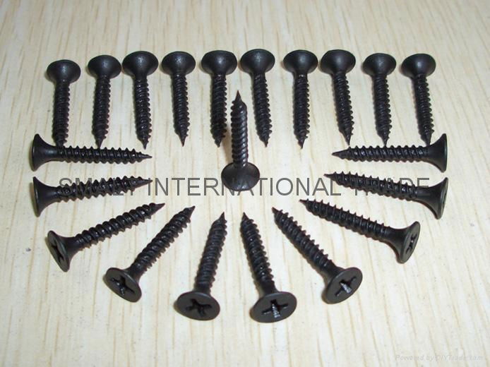 Drywall Screw  2