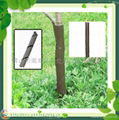 Plastic Tree Guard 5