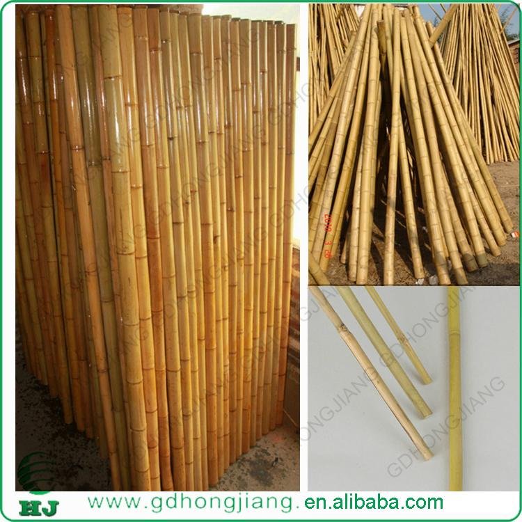 Decorative Bamboo Fence 4