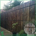 Decorative Bamboo Fence 2