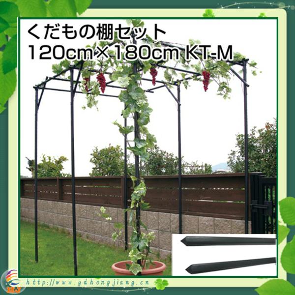 包塑鐵管園藝支柱 2