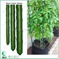 Plastic coated Garden stake 3