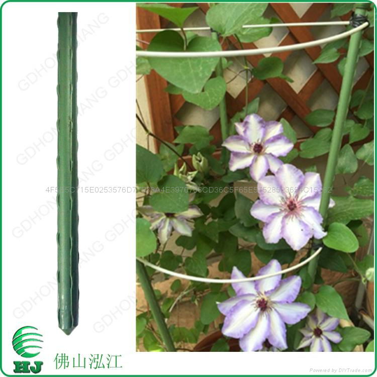 Plastic coated Garden stake 4