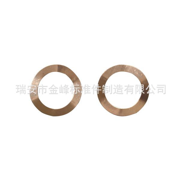 Phosphor copper internally serrated locking 