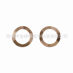 Phosphor copper internally serrated locking 