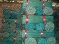 green dyed bamboo poles