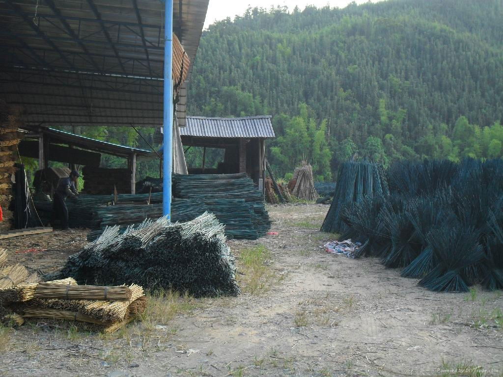 green dyed bamboo poles 2