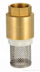 Brass Vertical check valve