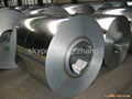 Cold rolled steel coil