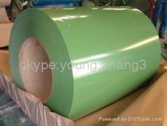 Prepainted iron coil & sheet