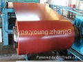 Prepainted galvanized iron 1