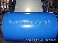 Color coated steel sheet 1