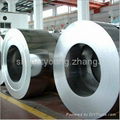 Hot dipped galvanized coil hot-dip GI 1