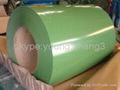 Prepainted galvanized iron 2