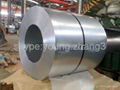 Corrugated galvanized roof sheet 2