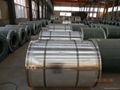 Color steel coil tile 5