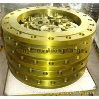 DIN flange