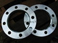 WN flange,SO flange,BL flange