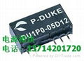 P-DUKE DC/DC CONVERTER SERIES SUPPLY