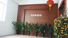 Shenzhen CE Electronics Co.,Ltd