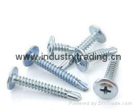 Flat head self-drilling screw for buidling decoration 2