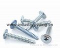Flat head self-drilling screw for buidling decoration