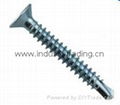Flat head self-drilling screw for buidling decoration 1