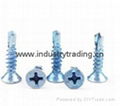 Flat head self-drilling screw for buidling decoration 5