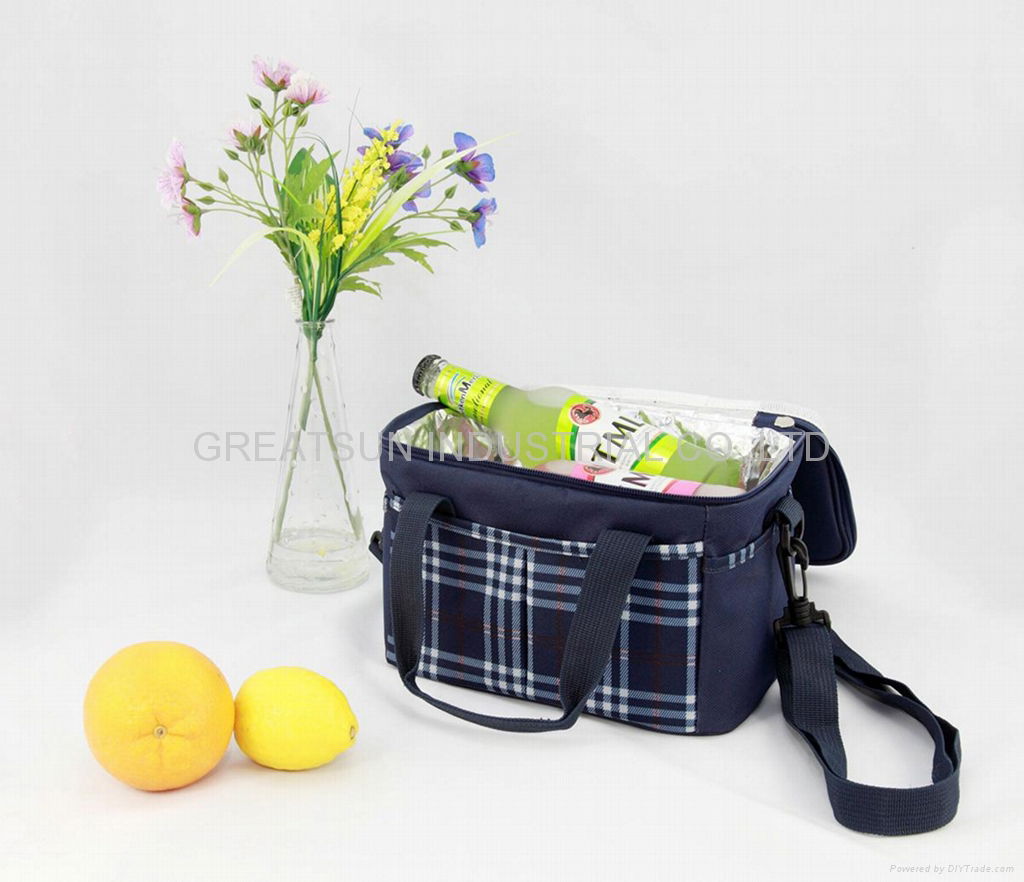 GS-W1101 Cooler Bag / Lunch Bag  5