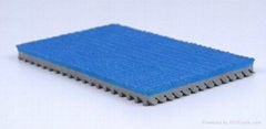 IAAF Certified Prefabricated Rubber Athletic Track