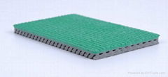 IAAF Certified Prefabricated Rubber Runway Track