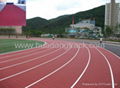 IAAF Certified Prefabricated Sports Running Track Surface 2