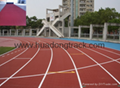 IAAF certified All Weather Condition Prefabricated Sport Running Track Surface 2