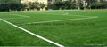 Artificial Grass for Soccer Court 1