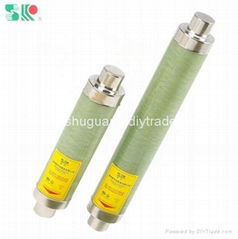 bussmann S types of high voltage plug in fuse 