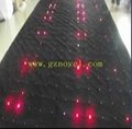 Full color LED vision curtain  5