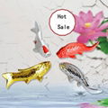 Resin Carp fishes for wall decoration 3