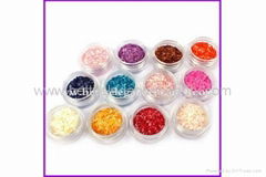 3D Shell Powder Nail Art Decoration BEB-B19