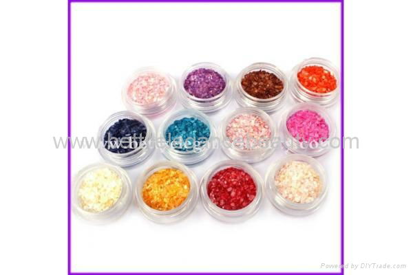 3D Shell Powder Nail Art Decoration BEB-B19 2