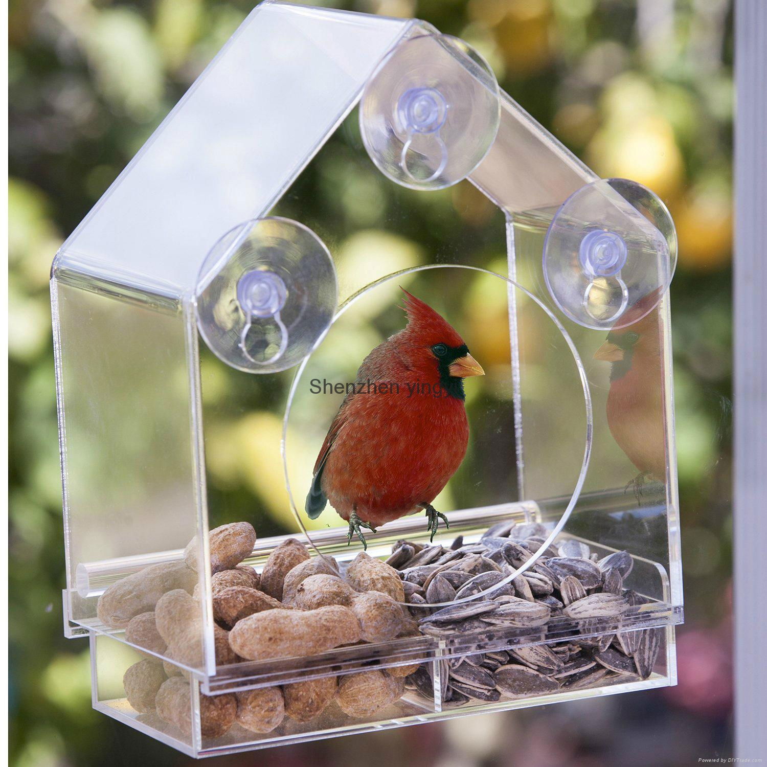  Custom acrylic bird feeder 